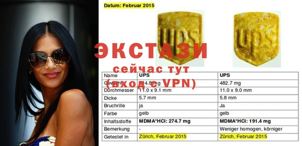ГАЛЛЮЦИНОГЕННЫЕ ГРИБЫ Гусев