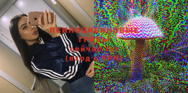 ГАЛЛЮЦИНОГЕННЫЕ ГРИБЫ Гусев