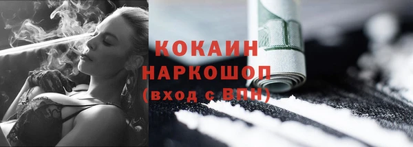 ГАЛЛЮЦИНОГЕННЫЕ ГРИБЫ Гусев