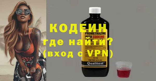 ГАЛЛЮЦИНОГЕННЫЕ ГРИБЫ Гусев