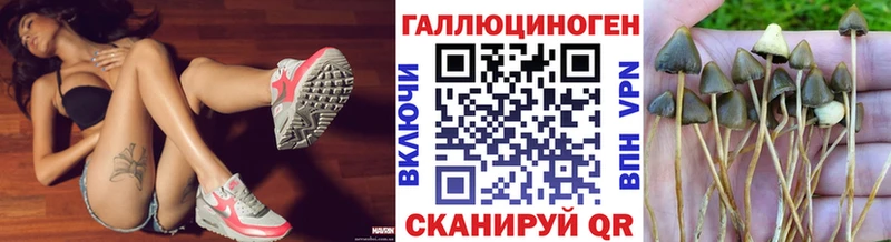 Галлюциногенные грибы Psilocybe  закладка  Железноводск 