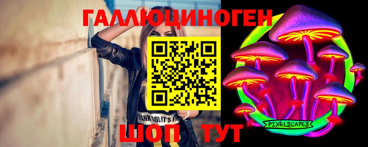 Псилоцибиновые грибы мухоморы  Псилоцибиновые грибы Psilocybe  наркота  Вход с VPN  Железноводск 